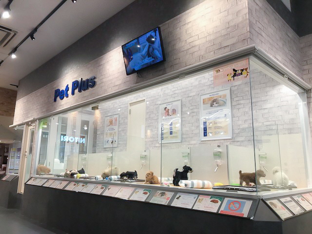 ペットプラス Mark Is 福岡ももち店 ずっといっしょパートナー